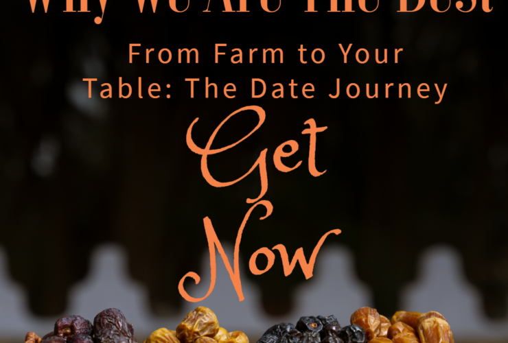 From Farm to Your Table The Date Journey